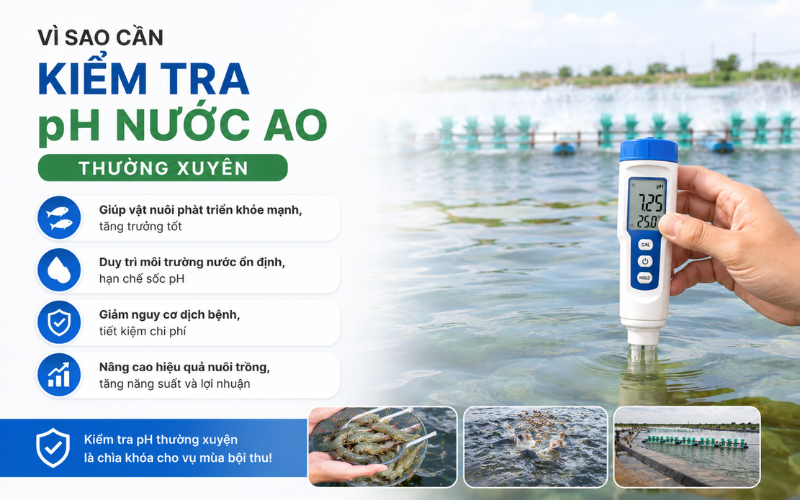 Vì sao cần kiểm tra pH nước ao thường xuyên 