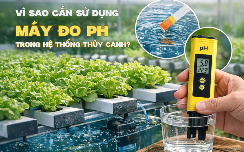 Vì sao cần sử dụng máy đo pH trong hệ thống thủy canh?