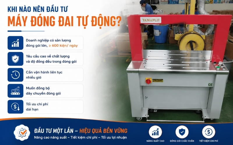 Khi nào nên đầu tư máy đóng đai tự động