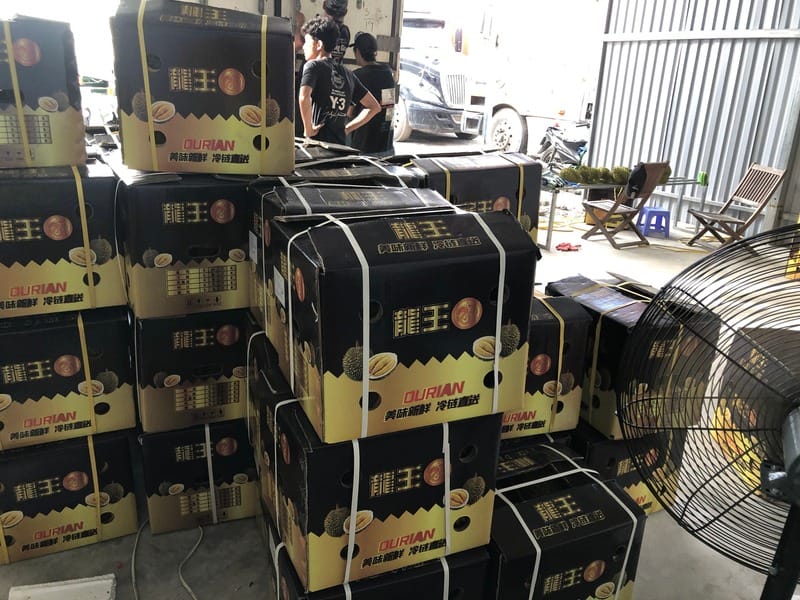 Lắp đặt máy đóng đai tự động