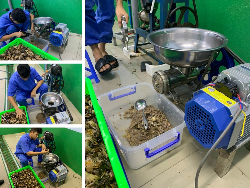 Máy đùn thịt, xương ốc Inox HM32