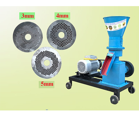 Mặt sàng của Máy ép cám viên công nghiệp