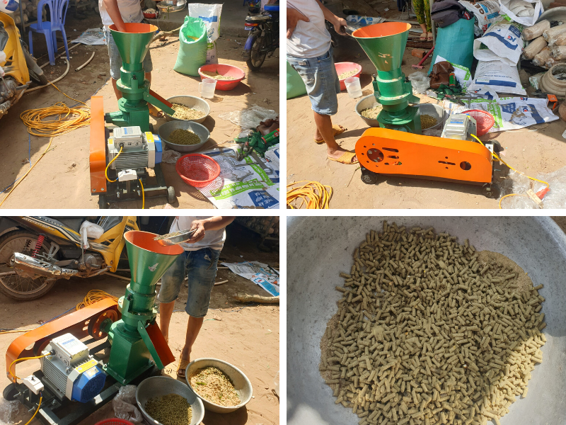 Hình ảnh thực tế Máy ép cám viên năng suất cao HMV-01