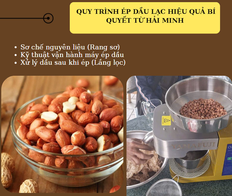 1kg lạc ép được bao nhiêu lít dầu? Bí quyết ép dầu hiệu quả
