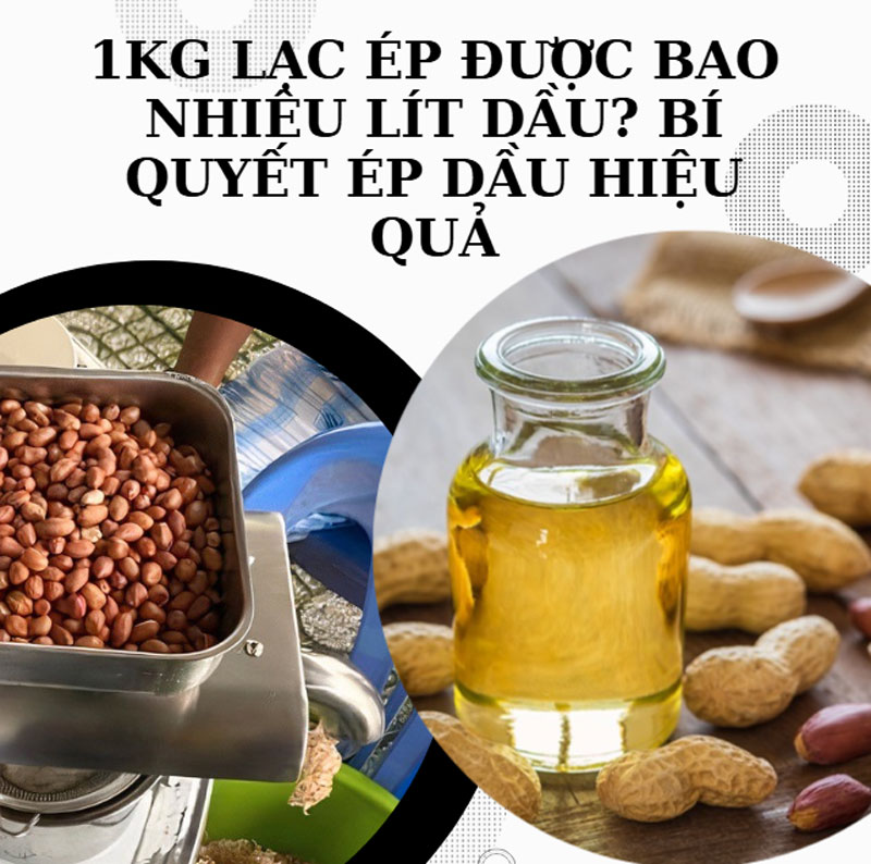 1kg lạc ép được bao nhiêu lít dầu? Bí quyết ép dầu hiệu quả