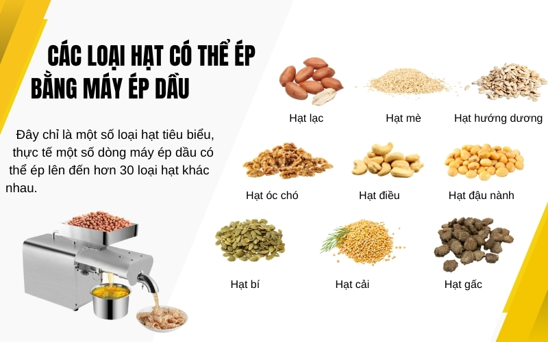 Các loại hạt có thể ép được bằng máy ép dầu