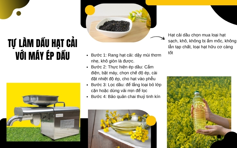 Cách tự làm dầu hạt cải đơn giản với máy ép dầu