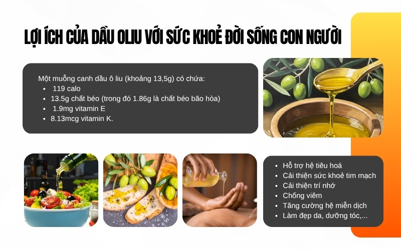 Lợi ích của dầu oliu đối với sức khoẻ đời sống con người
