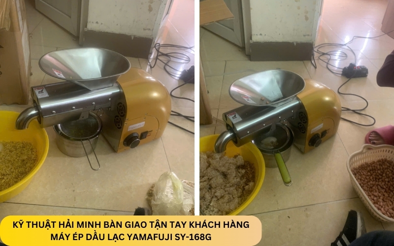 Máy ép dầu lạc Yamafuji SY-168G