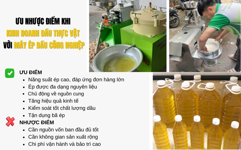 Ưu nhược điểm khi kinh doanh dầu thực vật với máy ép dầu công nghiệp