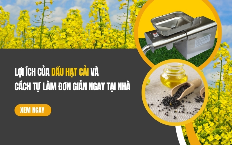 lợi ích của dầu hạt cải và cách tự làm đơn giản ngay tại nhà