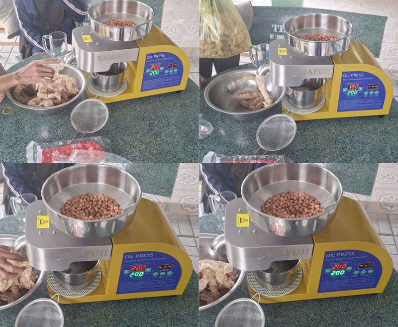 Máy ép dầu gia đình Yamafuji X9 (6-10 kg)