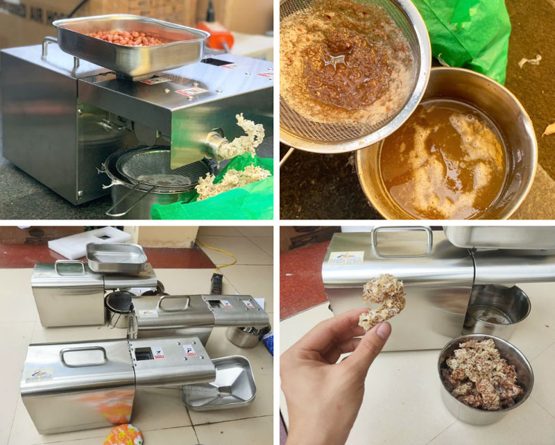Máy ép dầu lạc lựa chọn của nhiều hộ gia đình, xưởng sản xuất dầu hạt