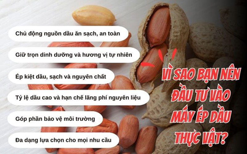 Vì sao bạn nên đầu tư vào máy ép dầu thực vật?