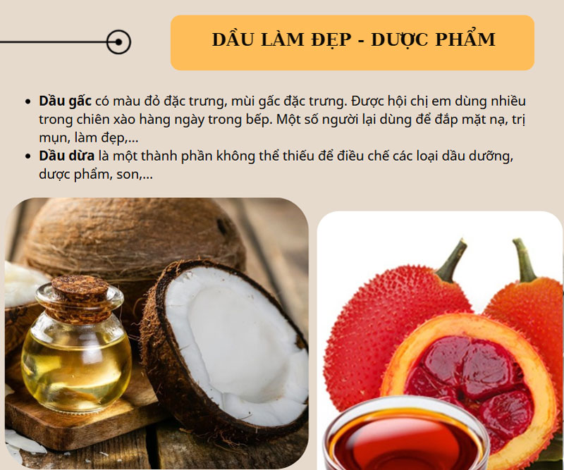 Ép dầu lạc - mè - dừa - gấc loại nào tốt nhất?