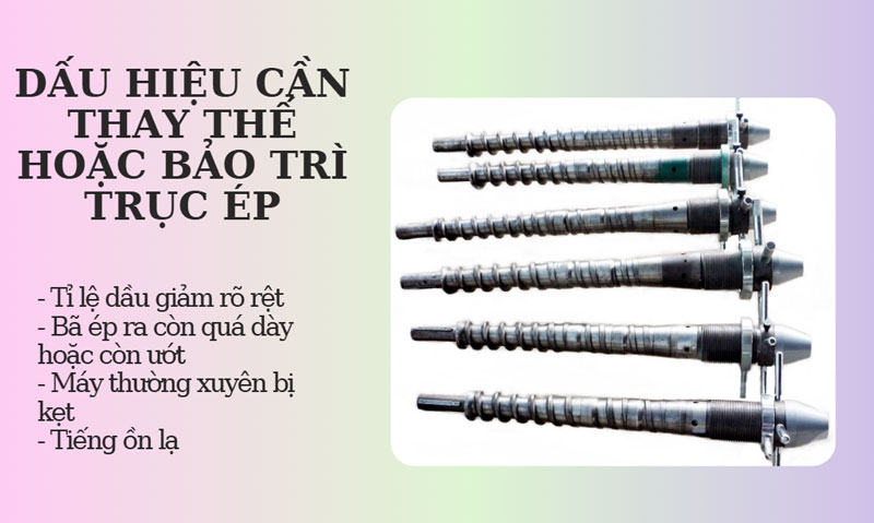 Trục ép máy ép dầu là gì? địa chỉ mua uy tín