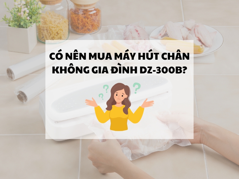 Có nên mua máy hút chân không gia đình DZ-300B?