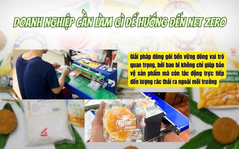 Doanh nghiệp cần làm gì để hướng đến Net Zero