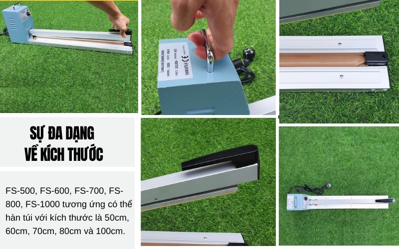 Sự đa dạng về kích thước