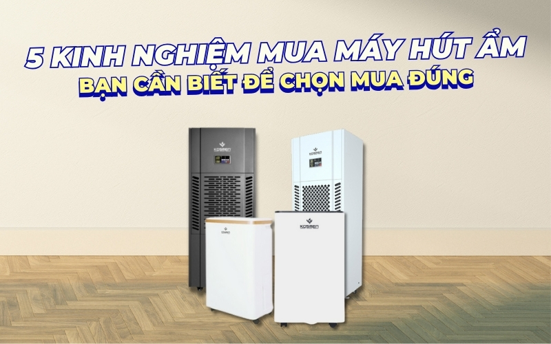 5 Kinh Nghiệm Mua Máy Hút Ẩm Bạn Cần Biết Để Chọn Mua Đúng