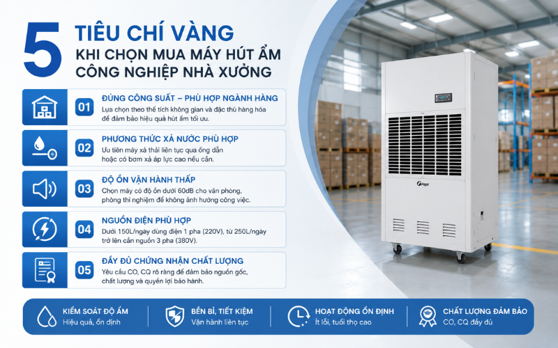 5 Tiêu chí vàng khi chọn mua máy hút ẩm công nghiệp nhà xưởng