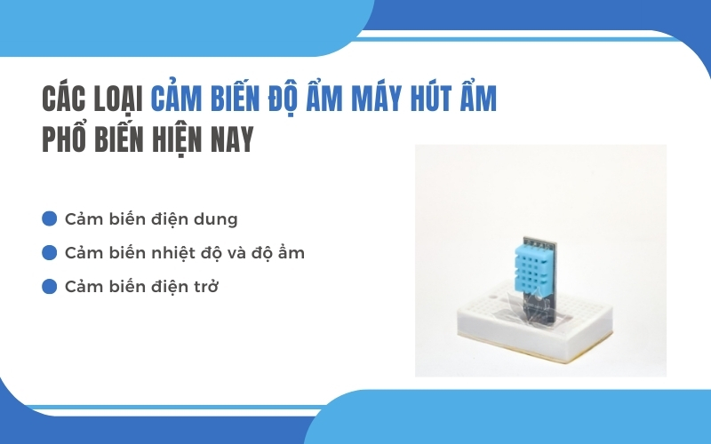 Các loại cảm biến độ ẩm máy hút ẩm phổ biến hiện nay