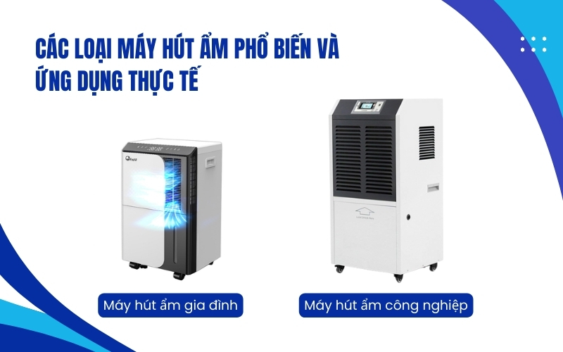 Các loại máy hút ẩm phổ biến và ứng dụng thực tế