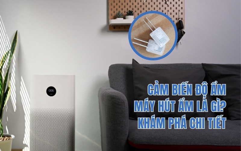 Cảm Biến Độ Ẩm Máy Hút Ẩm Là Gì? Khám Phá Chi Tiết