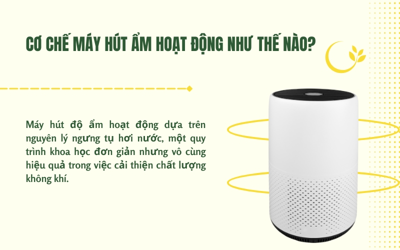 Cơ chế máy hút ẩm hoạt động như thế nào?