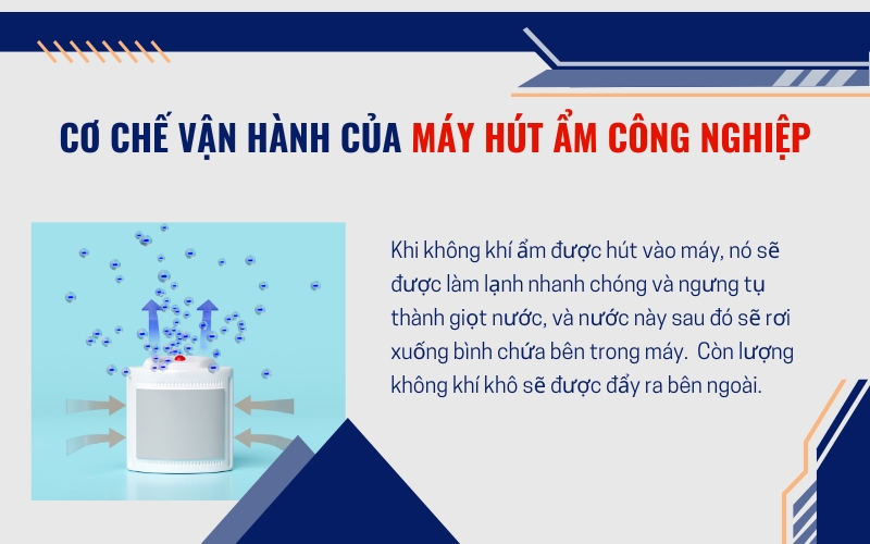 Cơ chế vận hành của máy hút ẩm công nghiệp