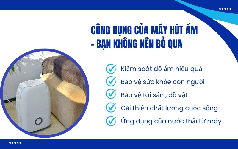 Công dụng của máy hút ẩm - bạn không nên bỏ qua