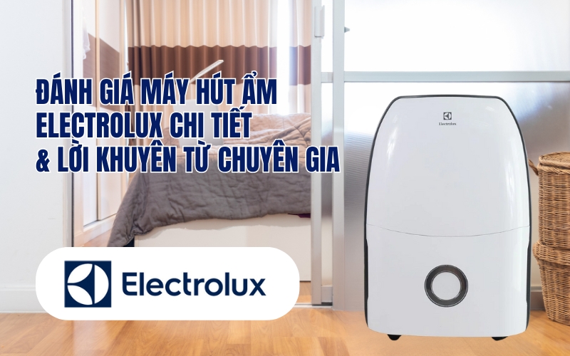 Đánh Giá Máy Hút Ẩm Electrolux Chi Tiết & Lời Khuyên Từ Chuyên Gia
