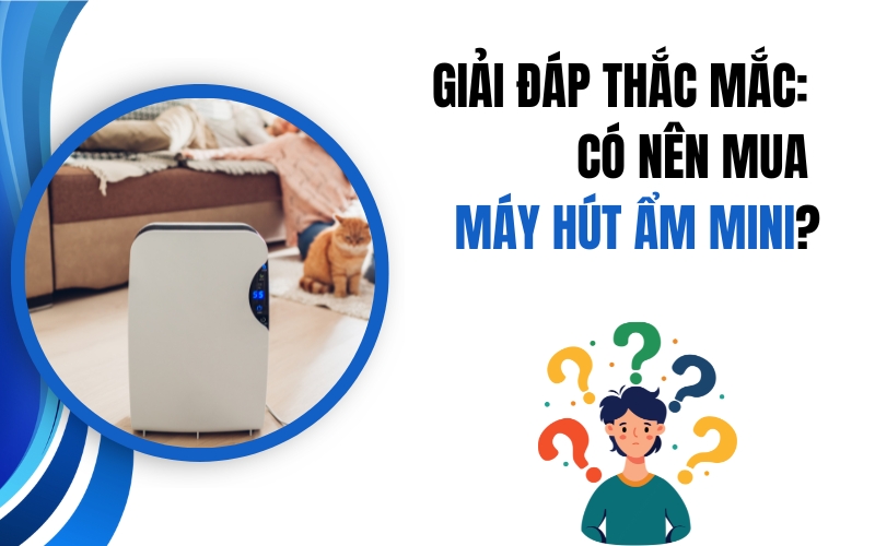 Giải Đáp Thắc Mắc: Có Nên Mua Máy Hút Ẩm Mini?