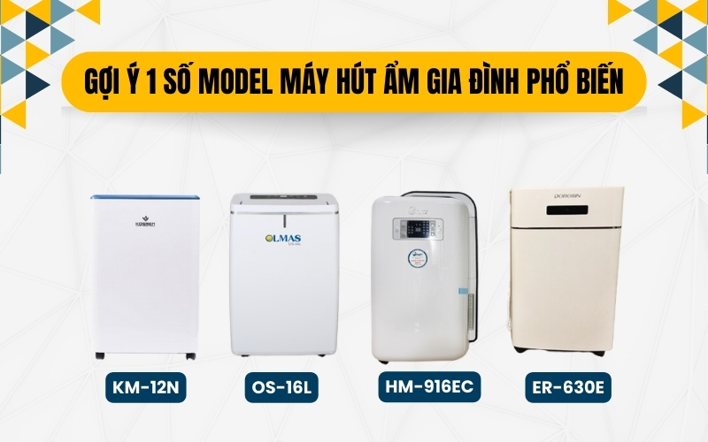 Gợi ý 1 số model máy hút ẩm gia đình phổ biến