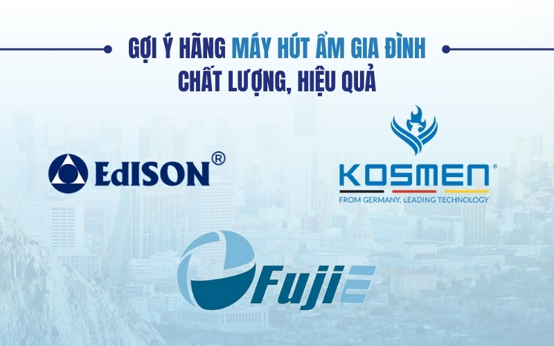 Gợi ý hãng máy hút ẩm gia đình chất lượng, hiệu quả