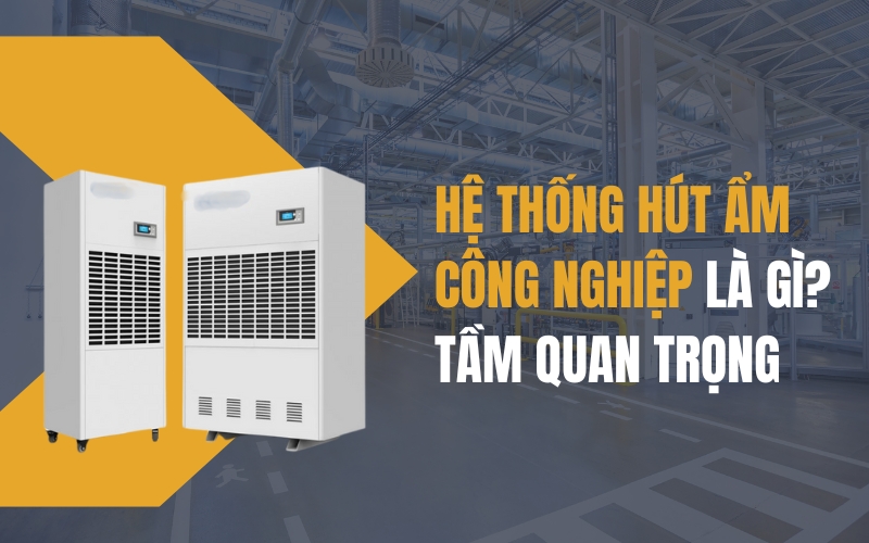 Hệ Thống Hút Ẩm Công Nghiệp Là Gì? Tầm Quan Trọng