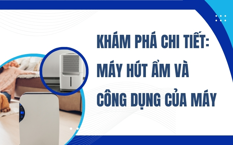 Khám Phá Chi Tiết: Máy Hút Ẩm Và Công Dụng Của Máy
