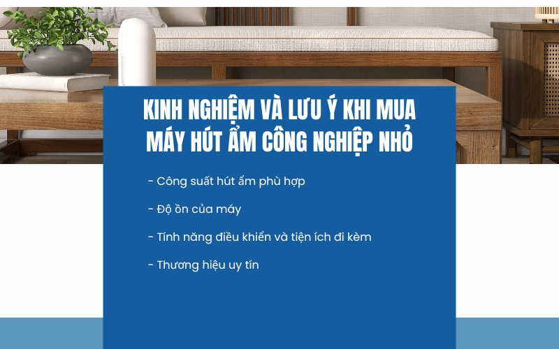 Kinh nghiệm và lưu ý khi mua máy hút ẩm công nghiệp nhỏ