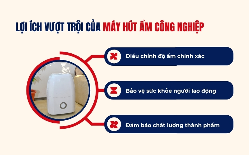 Lợi ích vượt trội của máy hút ẩm công nghiệp
