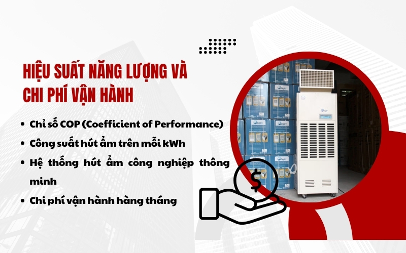 Hiệu suất năng lượng và chi phí vận hành là điều quan trọng khi mua máy hút ẩm