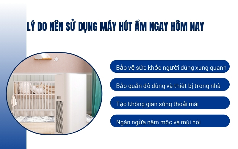 Lý do nên sử dụng máy hút ẩm ngay hôm nay