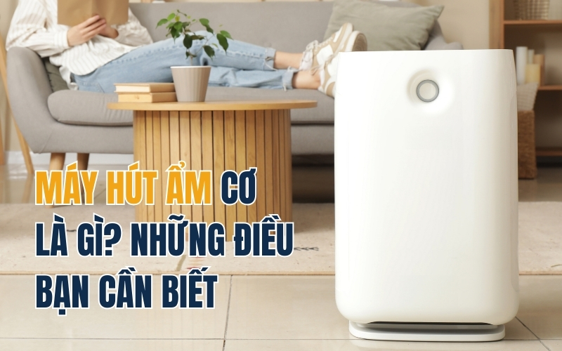 Máy Hút Ẩm Cơ Là Gì? Những Điều Bạn Cần Biết