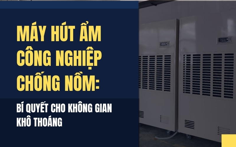 Máy Hút Ẩm Công Nghiệp Chống Nồm: Bí Quyết Cho Không Gian Khô Thoáng