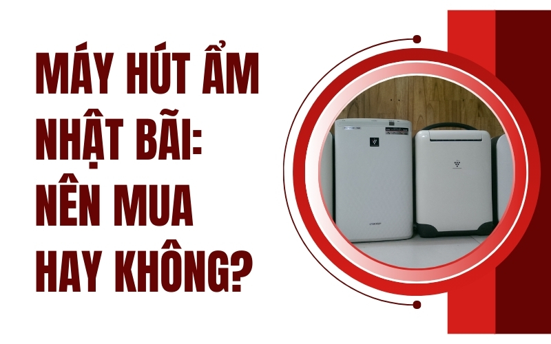 Máy Hút Ẩm Nhật Bãi: Nên Mua Hay Không?