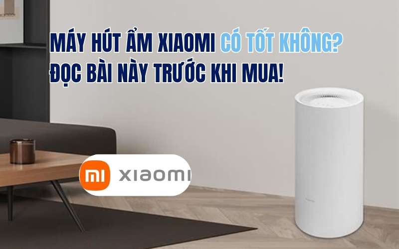 Máy Hút Ẩm Xiaomi Có Tốt Không? Đọc Bài Này Trước Khi Mua!