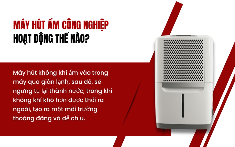Máy hút ẩm công nghiệp hoạt động thế nào?