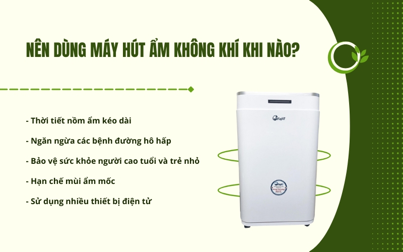 Nên dùng máy hút ẩm không khí khi nào?