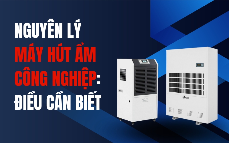 Nguyên Lý Máy Hút Ẩm Công Nghiệp: Điều Cần Biết