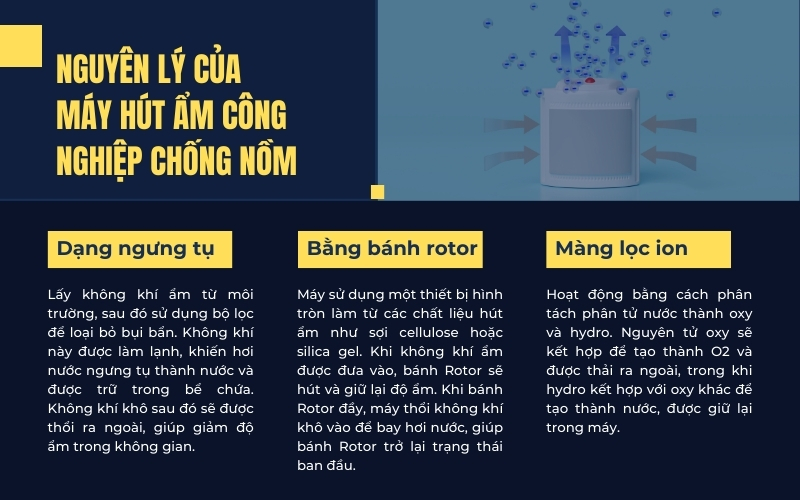 Nguyên lý của máy hút ẩm công nghiệp chống nồm