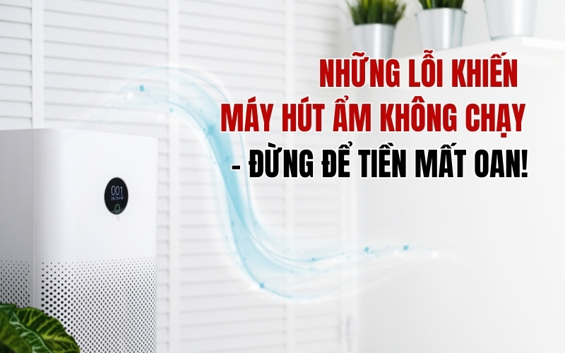 Những Lỗi Khiến Máy Hút Ẩm Không Chạy – Đừng Để Tiền Mất Oan!